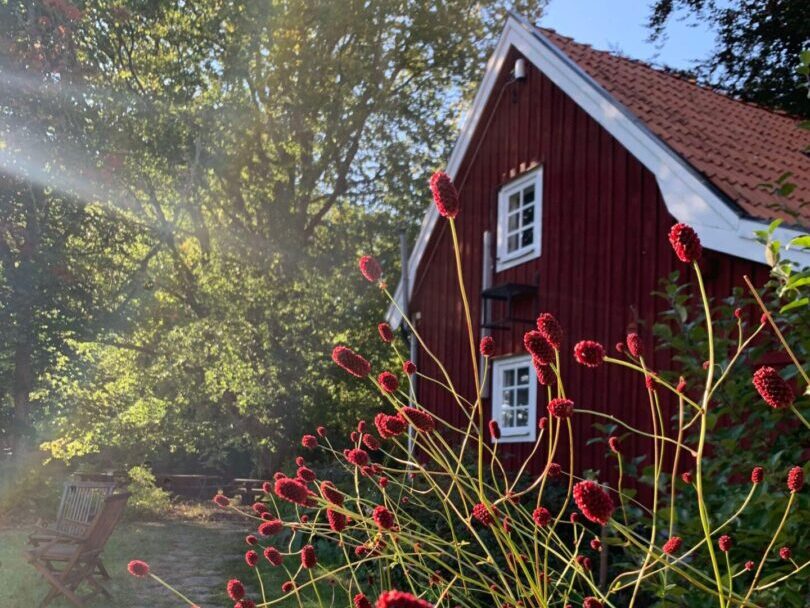 Retreat Omberg