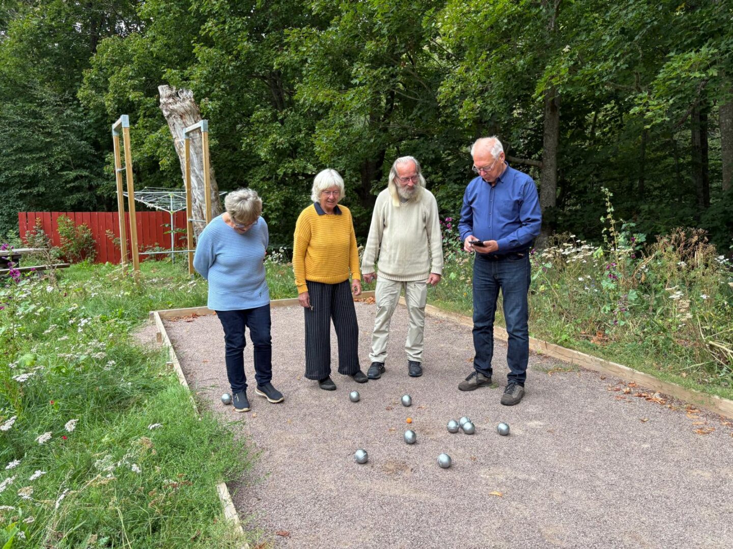 boules picture